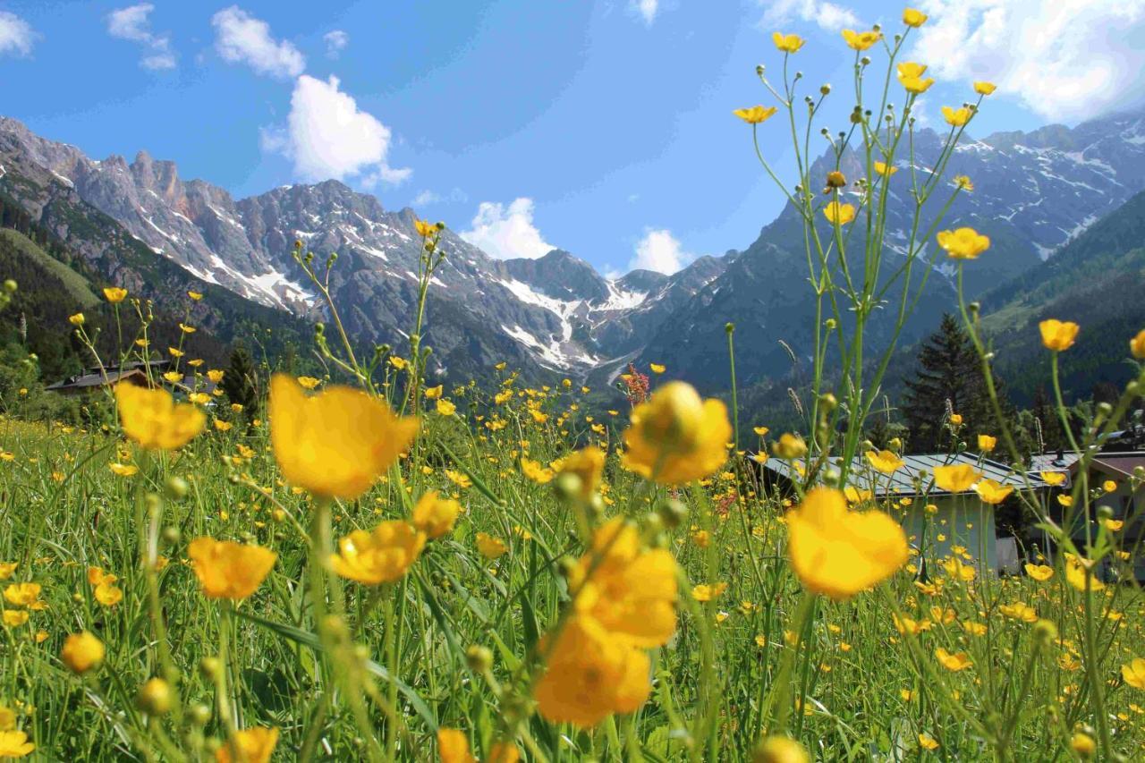Apart Ursus Hinterthal Maria Alm am Steinernen Meer Dış mekan fotoğraf