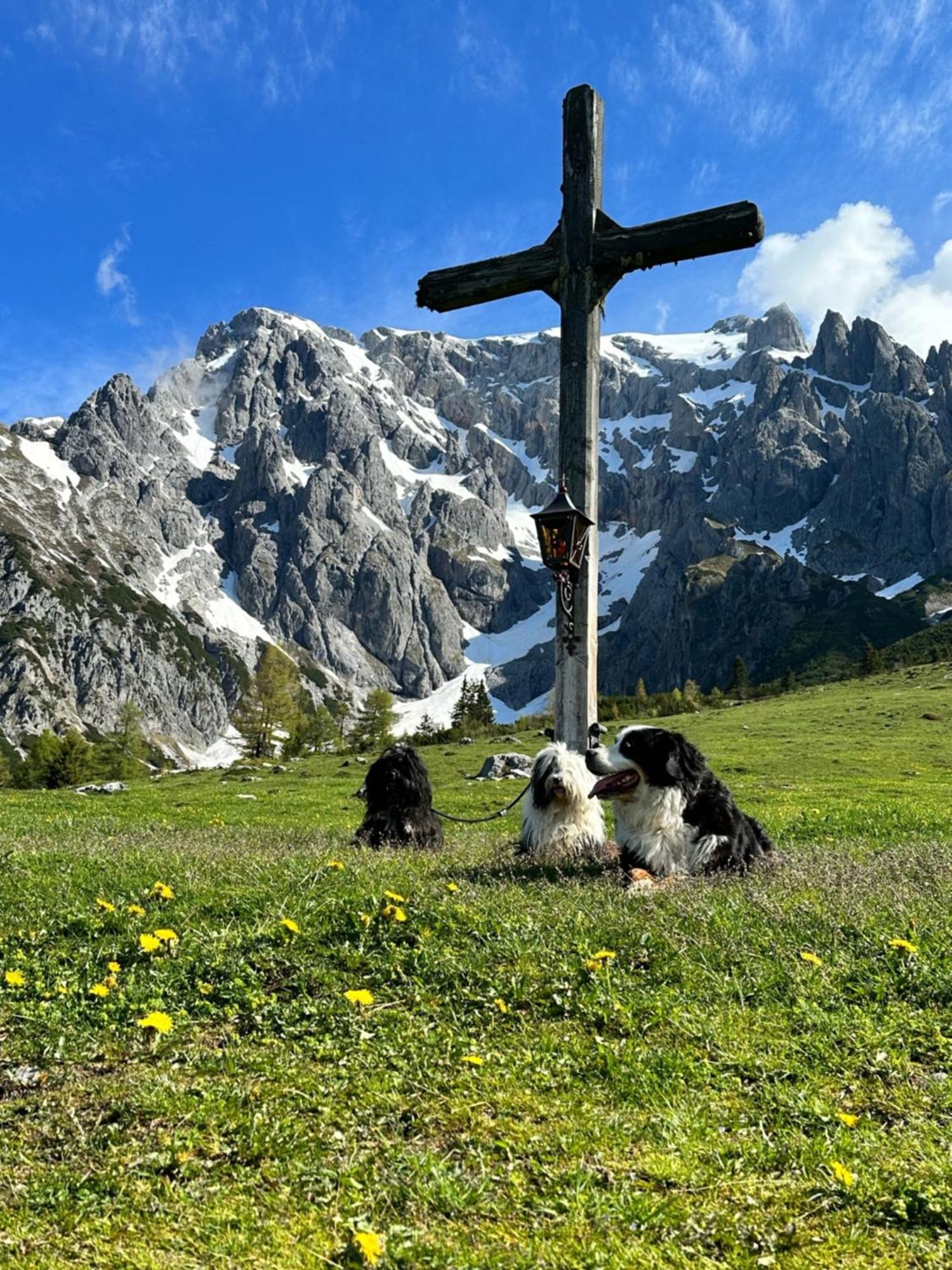 Apart Ursus Hinterthal Maria Alm am Steinernen Meer Dış mekan fotoğraf
