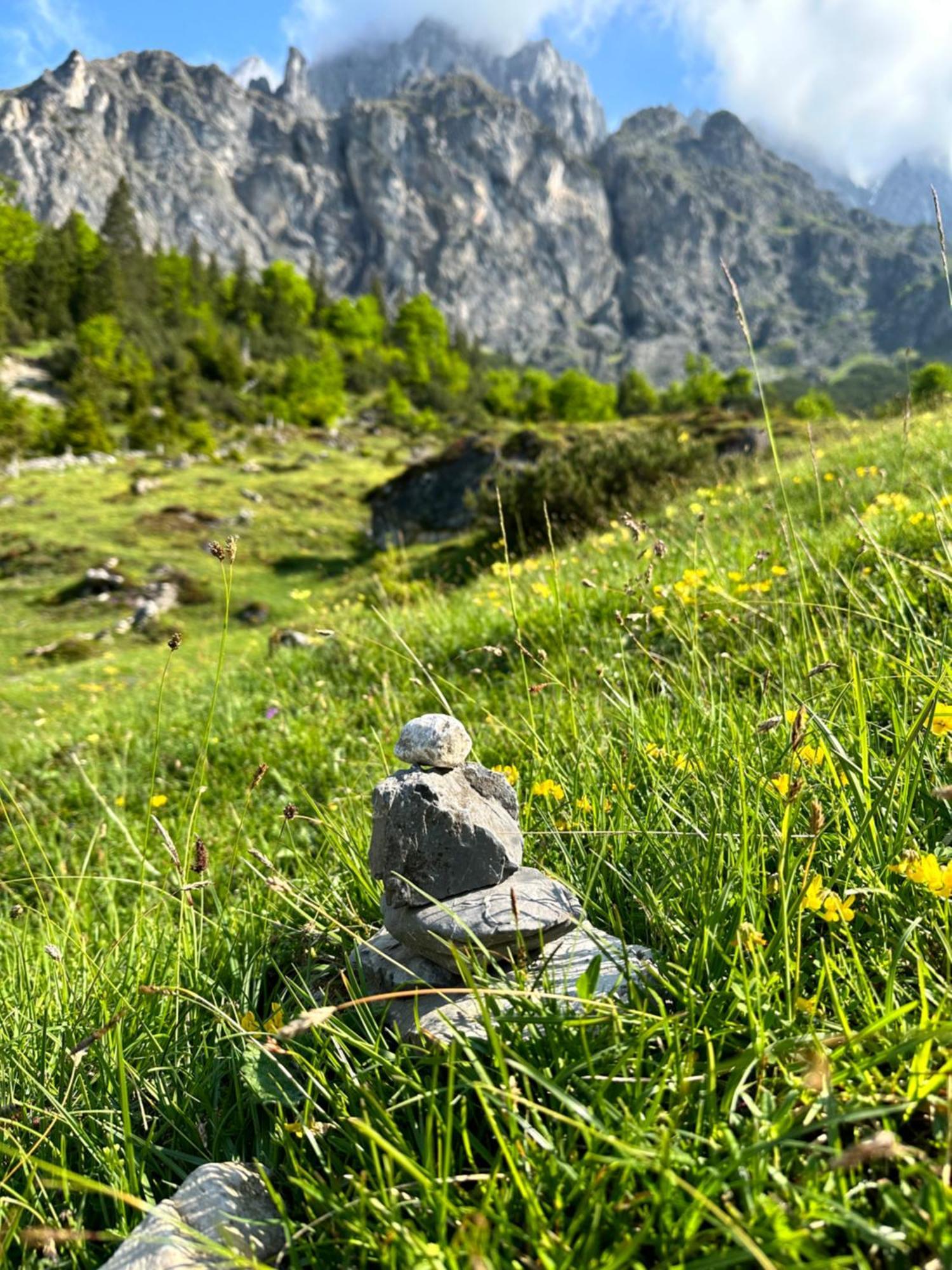 Apart Ursus Hinterthal Maria Alm am Steinernen Meer Dış mekan fotoğraf
