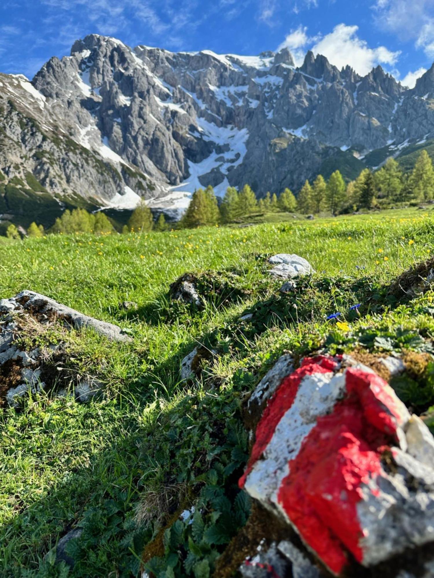 Apart Ursus Hinterthal Maria Alm am Steinernen Meer Dış mekan fotoğraf